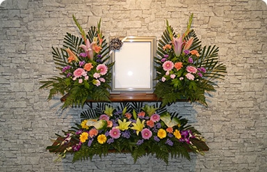 アルモニー29.8プラン