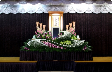 アルモニー59.8プラン