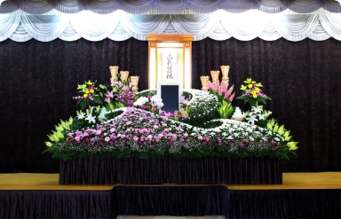 アルモニー79.8プラン